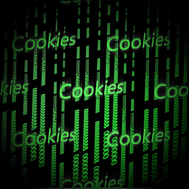 Política de Cookies EXCURSIONES PIN 2010, S.L.